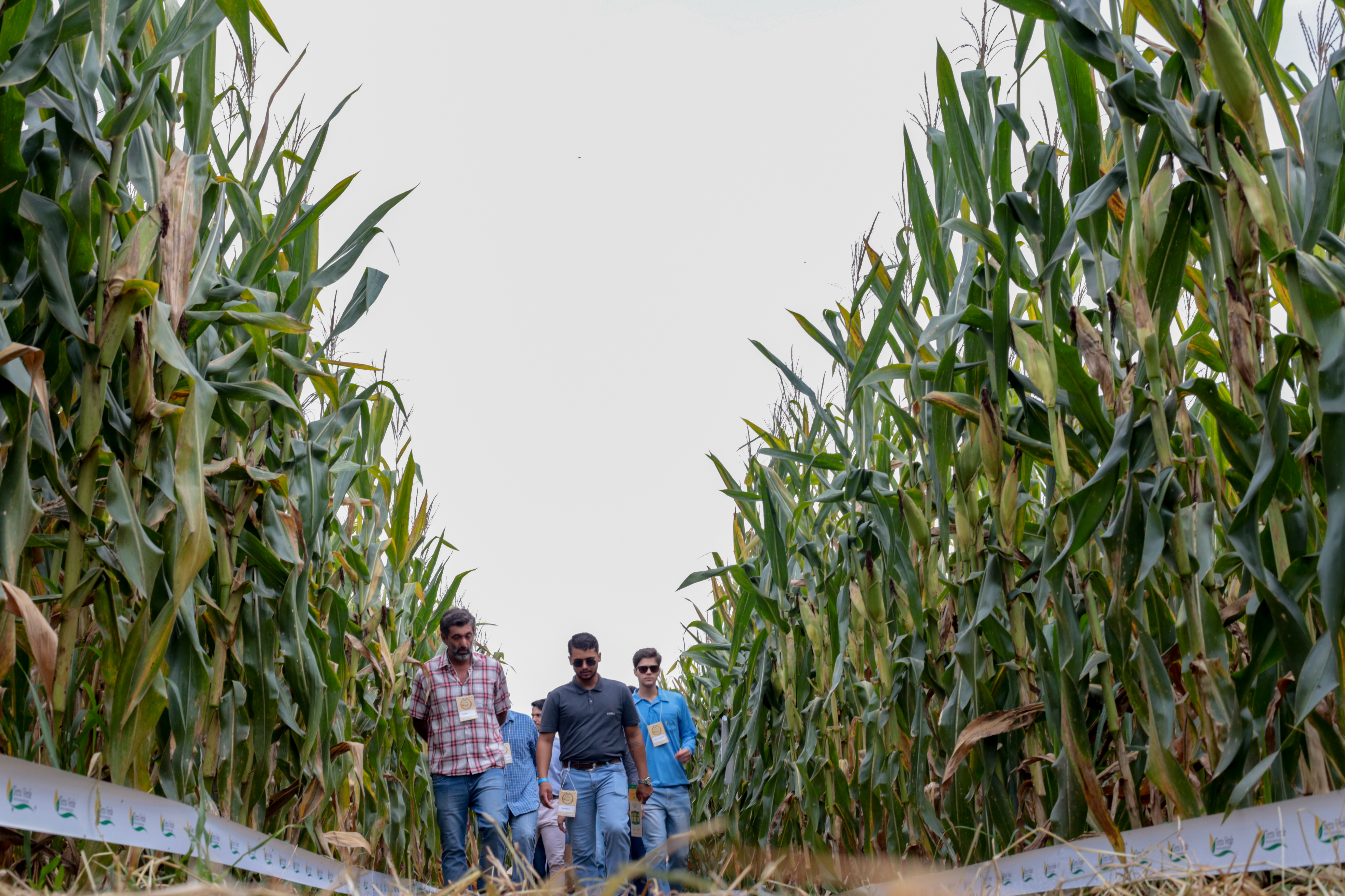 2° Dia de Campo - Foto 37